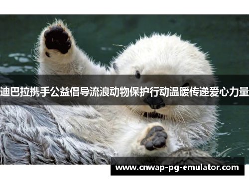 迪巴拉携手公益倡导流浪动物保护行动温暖传递爱心力量 迪巴拉携手公益倡导流浪动物保护行动温暖传递爱心力量