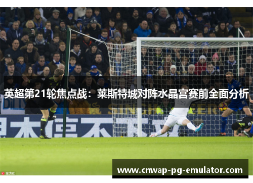 英超第21轮焦点战：莱斯特城对阵水晶宫赛前全面分析