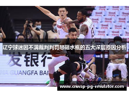 辽宁球迷因不满裁判判罚怒砸水瓶的五大深层原因分析