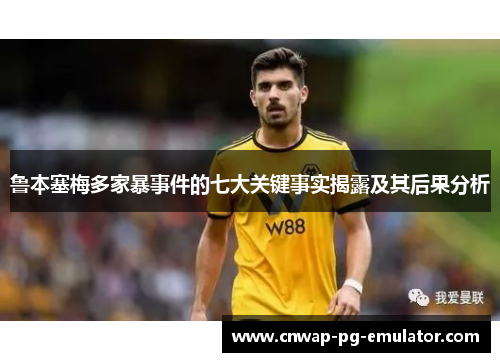 鲁本塞梅多家暴事件的七大关键事实揭露及其后果分析